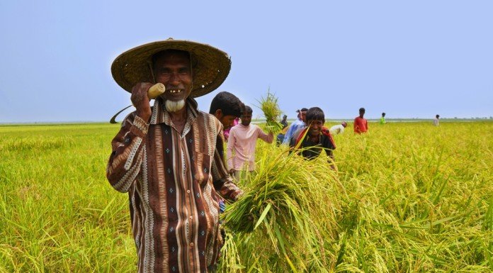 Farmer of Bangladesh (Photo-Symbolic)