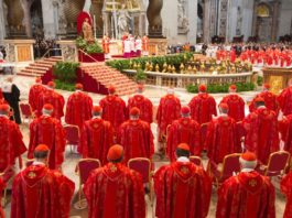 Pope Francis Announces-17 New Cardinals